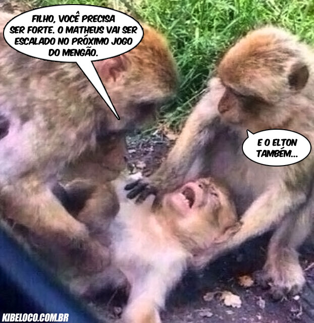 Filho, você precisa ser forte. O Matheus vai ser escalado no próximo jogo do Mengão.