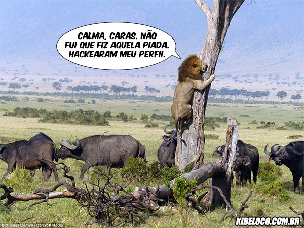 Calma, caras. Não fui que fiz aquela piada. Hackearam meu perfii.