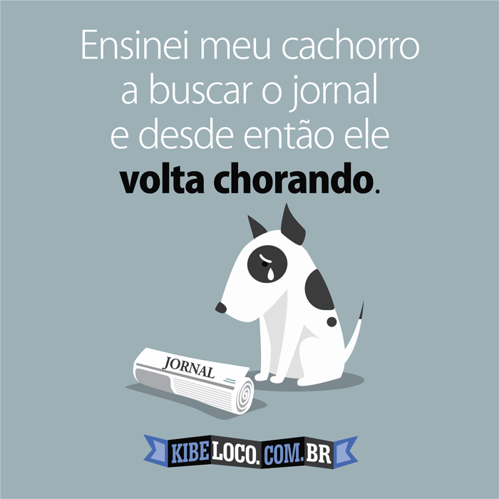 MEU-CACHORRO-BUSCA-O-JORNAL