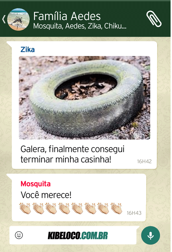 zap zap whatsapp aeds aegypti dengue zika