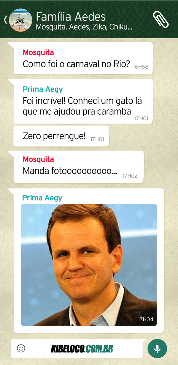 zap zap whatsapp aeds aegypti dengue zika