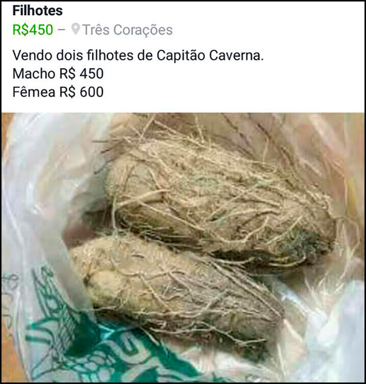 MAU-NEGOCIO-LEONARDO-BENETON