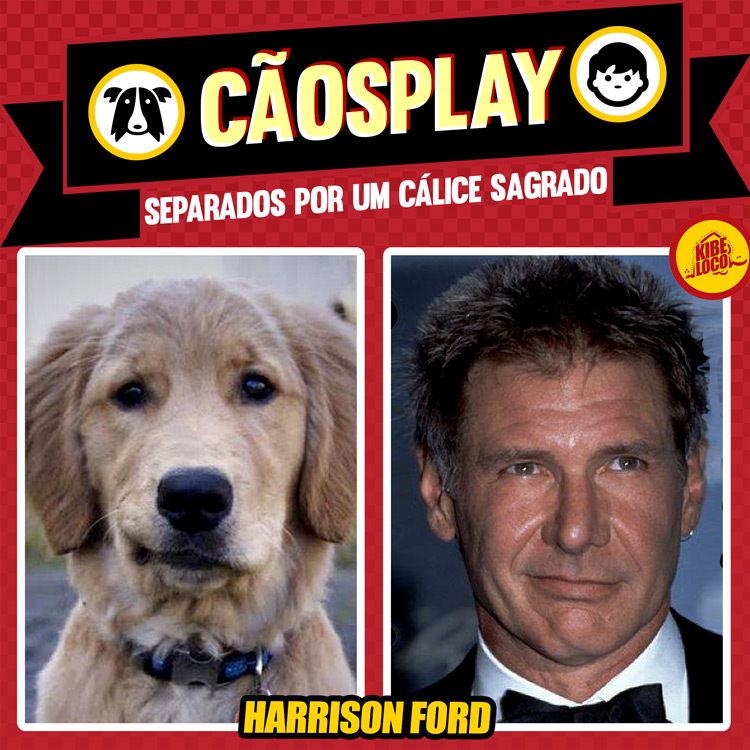CÃOSPLAY-HARRISON-FORD