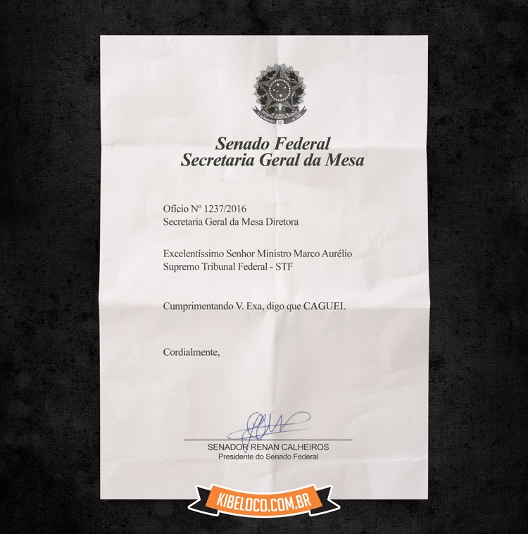 WhatsApp Image 2016-12-07 at 13.54.41