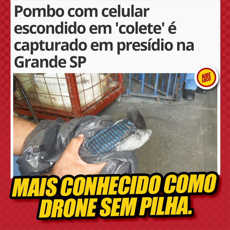POMBOCORREIO