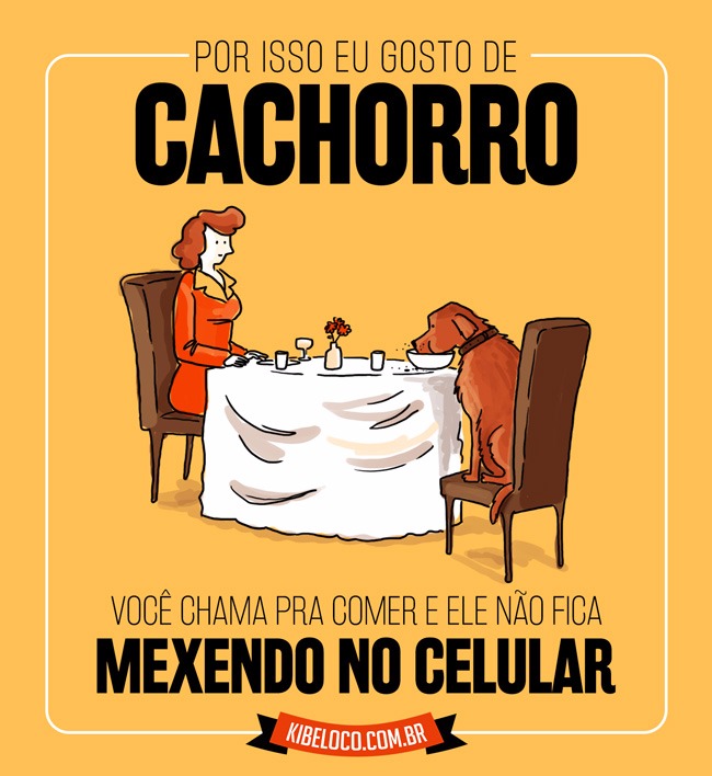 WhatsApp Image 2017-03-16 at 15.02.37